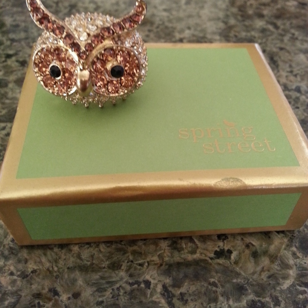 *Donated* Spring Street Adjustable Crystal Owl Ring - Picture 3 of 4